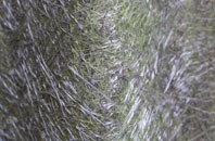 Inverbervie fibreglass roof work